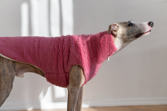 Woolen Dog Vest - Pink-1