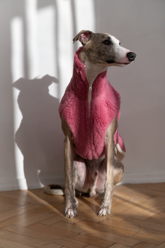 Woolen Dog Vest - Pink-0